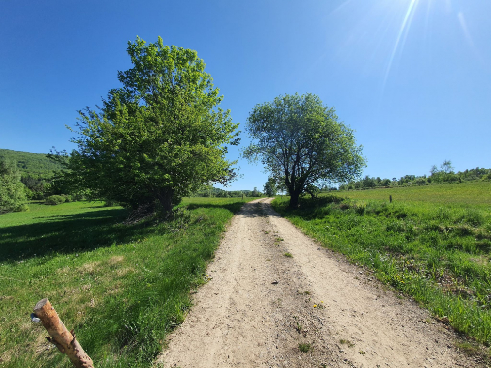 zdjęcie_3657