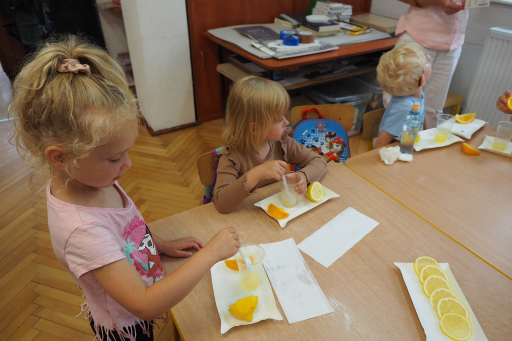 zdjęcie_6084