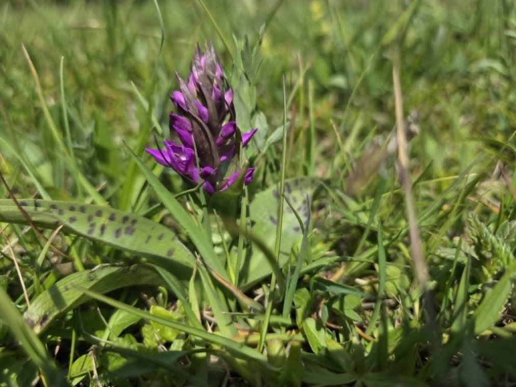 zdjęcie_6730