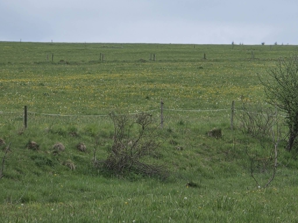zdjęcie_6731