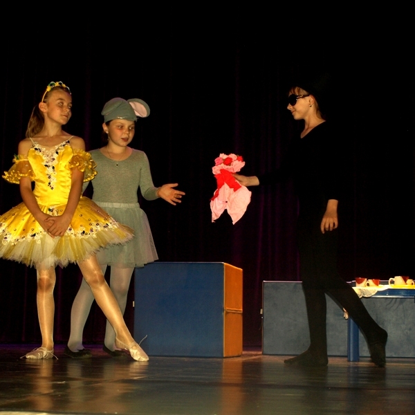 OLYMPUS DIGITAL CAMERA