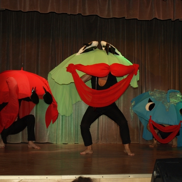 OLYMPUS DIGITAL CAMERA