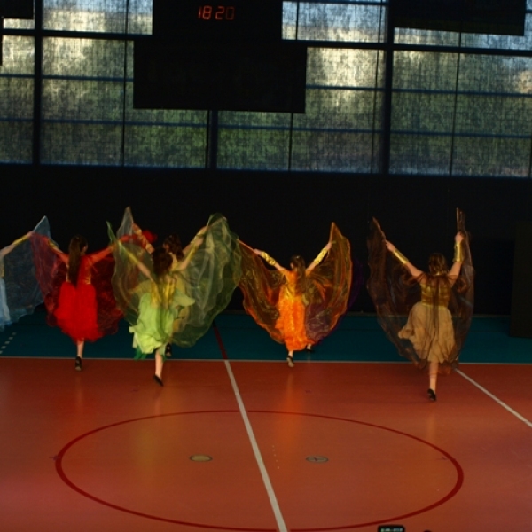 OLYMPUS DIGITAL CAMERA