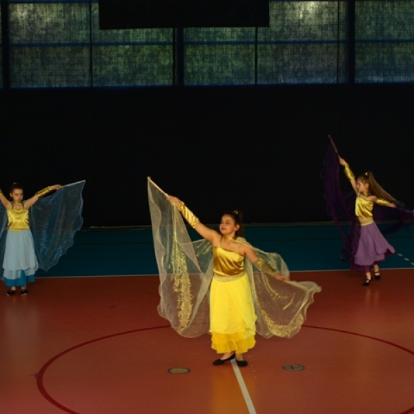 OLYMPUS DIGITAL CAMERA