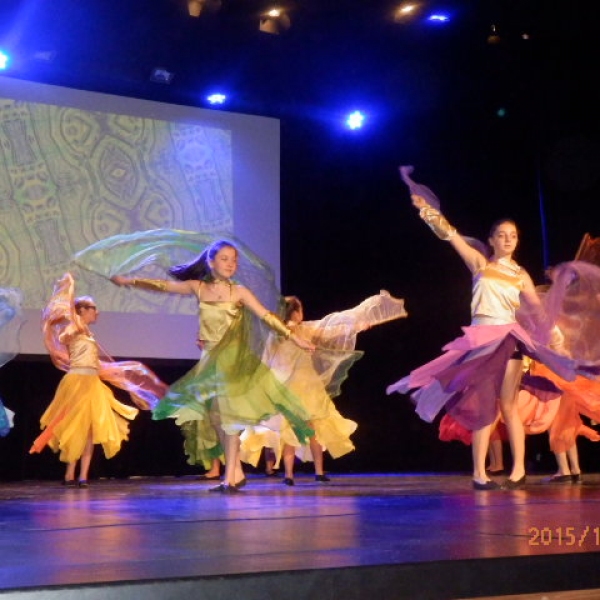 OLYMPUS DIGITAL CAMERA