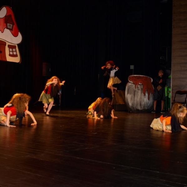 OLYMPUS DIGITAL CAMERA