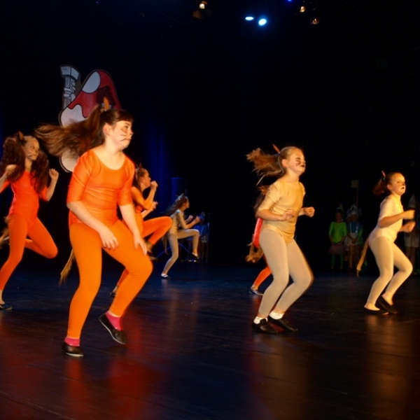 OLYMPUS DIGITAL CAMERA