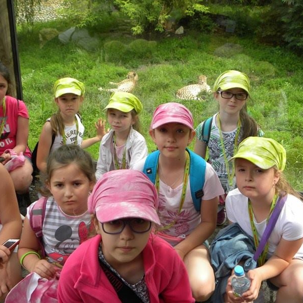 13502076_1027441603975839_2248945190336826703_n