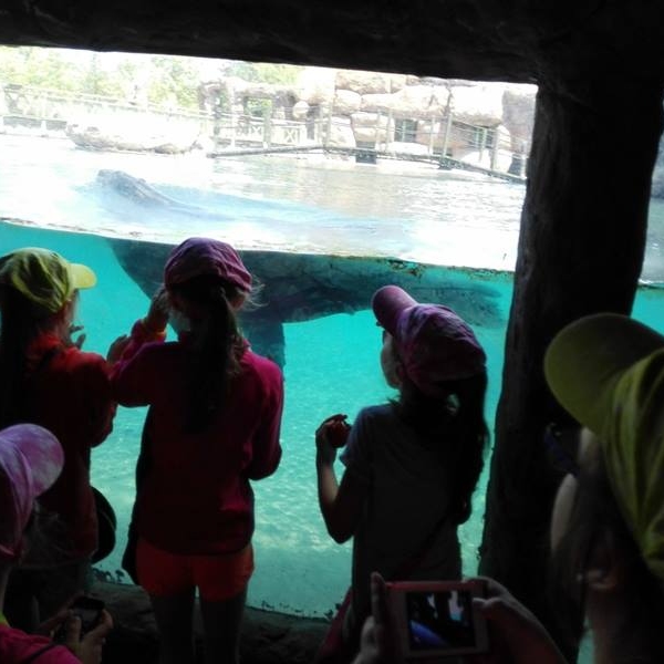 13507109_1027454893974510_7614881300431506424_n