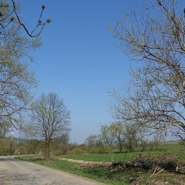 Ożenna - Huta Polańska