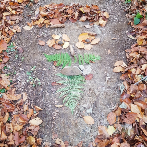 Wycieczki i działania sekcji Eko turystyki (wrzesień/październik)