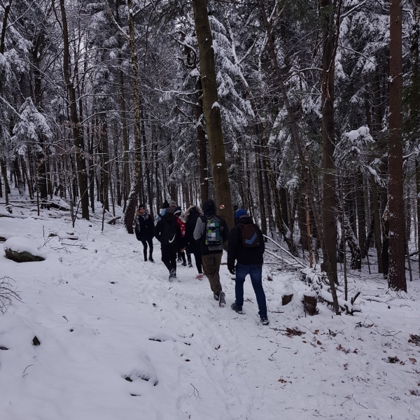 Działania sekcji ekoturystyki listopad - grudzień