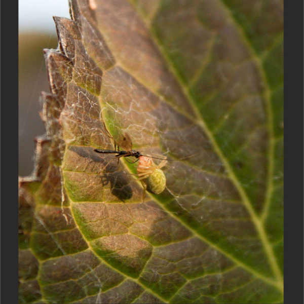 II Konkurs Fotograficzny 