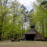 zdjęcie_6641