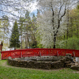 zdjęcie_6652