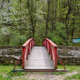 zdjęcie_6653