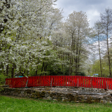 zdjęcie_6654