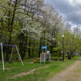 zdjęcie_6656